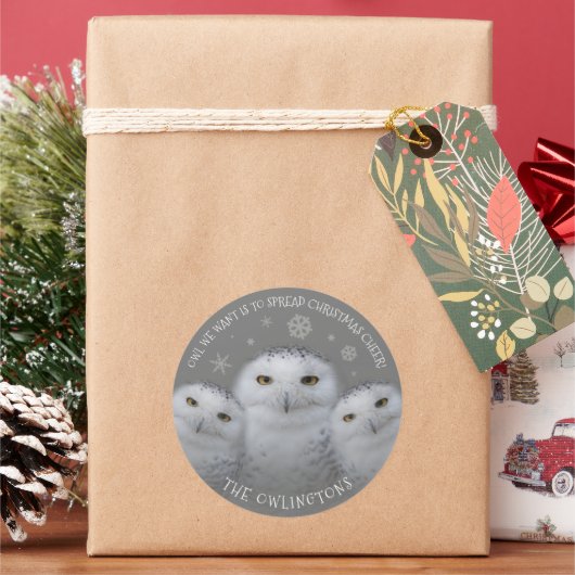 Owl Wir Wollte Weihnachts-Cheer Snowy Owls Runder Aufkleber (Feiertag)