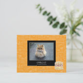 Owlcat Postkarte (Stehend Vorderseite)
