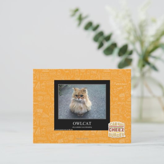 Owlcat Postkarte (Stehend Vorderseite)