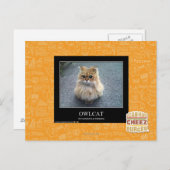 Owlcat Postkarte (Vorne/Hinten)