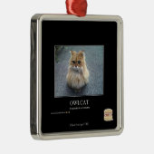 Owlcat Silbernes Ornament (Rechts)