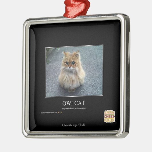 Owlcat Silbernes Ornament (Links)