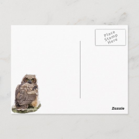 Owlet auf einer Kiefernstrasse Postkarte (Rückseite)