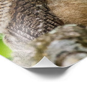 Owlet Fotodruck (Ecke)