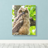 Owlet Leinwanddruck (Insitu (Holzboden))