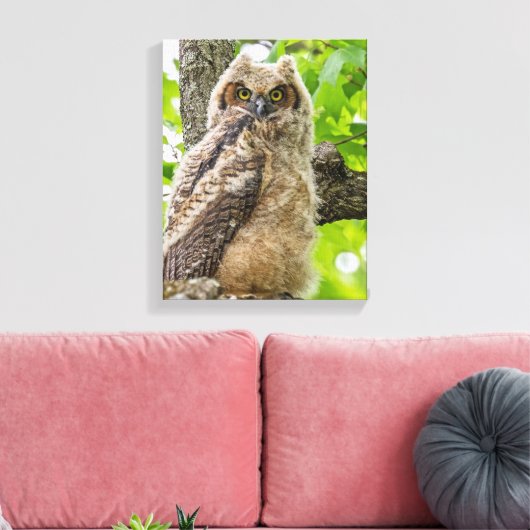 Owlet Leinwanddruck (Insitu (Wohnzimmer))