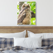 Owlet Leinwanddruck (Insitu (Schlafzimmer))