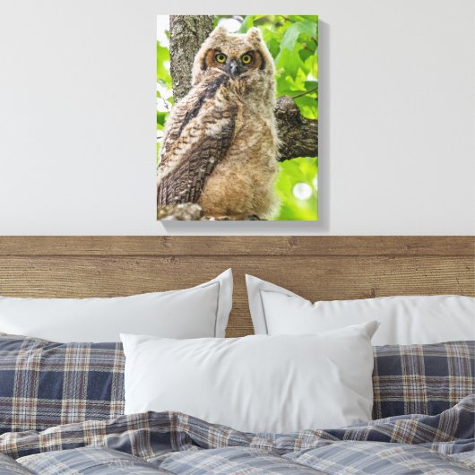 Owlet Leinwanddruck (Insitu (Schlafzimmer))