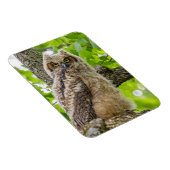 Owlet Magnet (Rechte Seite)