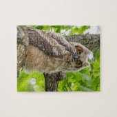 Owlet Puzzle (Horizontal)