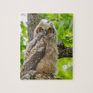 Owlet Puzzle