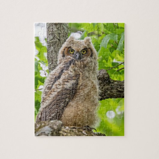 Owlet Puzzle (Vertikal)