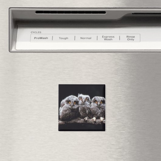 Owlet Trio Magnet (In Situ (Geschirrspüler))