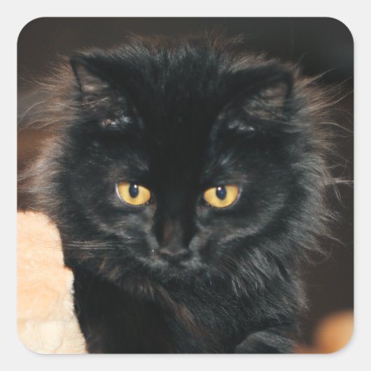 Owlette Quadratischer Aufkleber (Vorderseite)