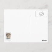 Owlie Postcard Postkarte (Rückseite)
