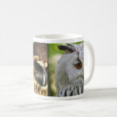 Owls Animal Birds Nature Park Tree Harmony Destiny Kaffeetasse (VorderseiteRechts)
