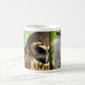 Owls Animal Birds Nature Park Tree Harmony Destiny Kaffeetasse (Mittel)
