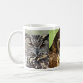Owls Animal Birds Nature Park Tree Harmony Destiny Kaffeetasse