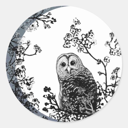 Owls Birds Nature Wildlife Moon Stickers (Vorderseite)