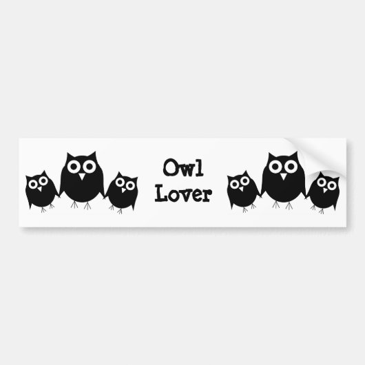 Owls Design Autoaufkleber (Vorne)