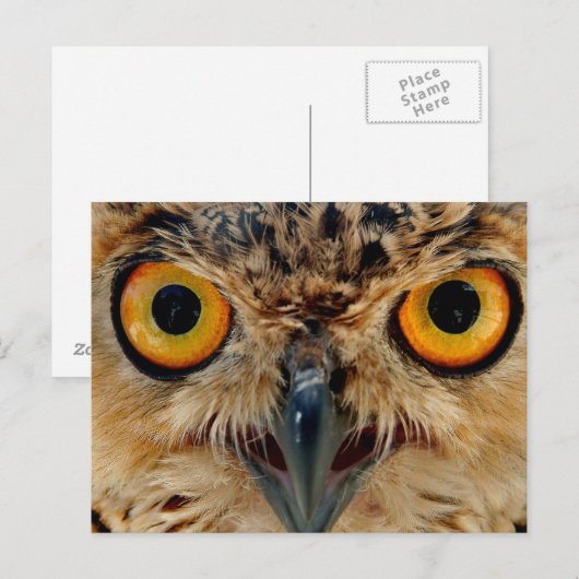 Owls Eyes Postkarte (Vorne/Hinten)