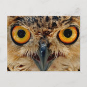 Owls Eyes Postkarte (Vorderseite)