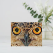Owls Eyes Postkarte (Stehend Vorderseite)