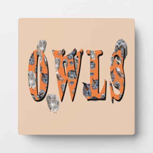 Owls ist der Name, Fotoplatte (Vorderseite)