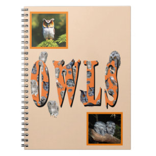 Owls ist der Name, Notizblock