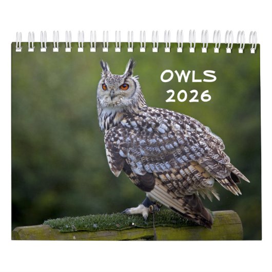 Owls-Kalender Kalender (Titelbild)