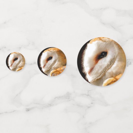 OWLS KONFETTI (Rückseiten)