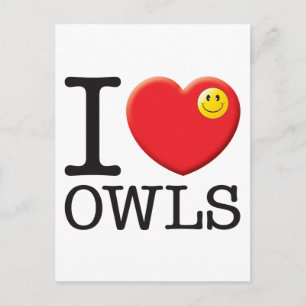 Owls-Liebe Postkarte