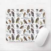 "OWL's of North America" Mausklick Mousepad (Mit Mouse)
