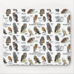 "OWL's of North America" Mausklick Mousepad