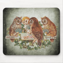 Owls Poker spielen