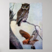 Owls Poster (Vorne)