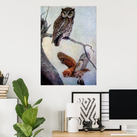 Owls Poster (Heimbüro)