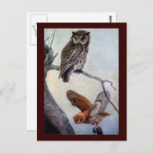 Owls Postkarte (Vorne/Hinten)