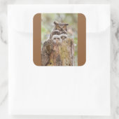 Owls Sticker (Tasche)