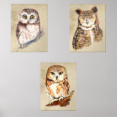 Owls Verhalten schlecht: Sammlung von Sass und Wei Bilderwand Sets (Vorderseite)