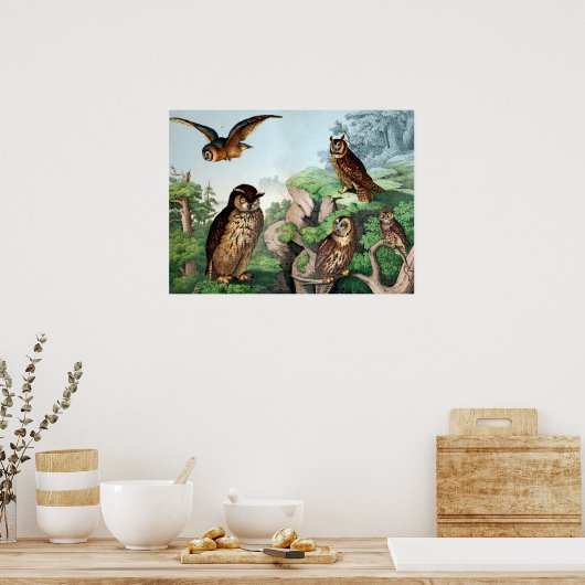 Owls Vintag Poster (Küche)