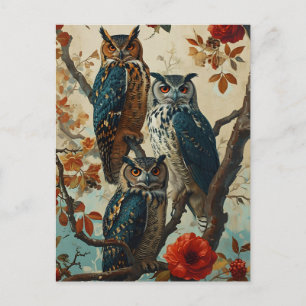 Owls Vintag Postkarte