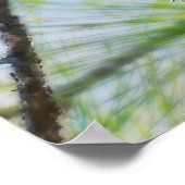 Owls Wildlife Fotografy Great Horned Baby Owl Poster (Ecke)