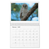 OwlWatch Kalender 2016 (Feb 2027)