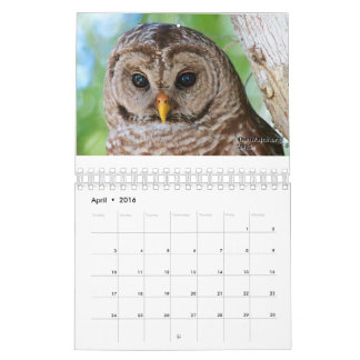 OwlWatch Kalender 2016