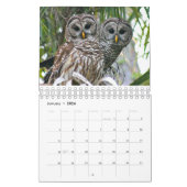 OwlWatch Kalender 2016 (Jan 2026)