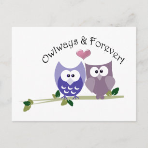 Owlways und Forever! Niedliches Owl-Design Postkarte