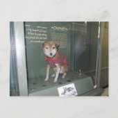 Owney National Post Museum Mascot Postkarte (Vorderseite)