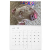 OWRAssist Liebe rettet Kalender (Mär 2027)