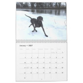 OWRAssist Liebe rettet Kalender (Jan 2027)